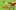Grinch_Web_Grinch Grinch_Web_Grinch