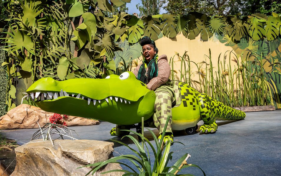 The Enormous Crocodile - Croc1 The Enormous Crocodile - Croc1