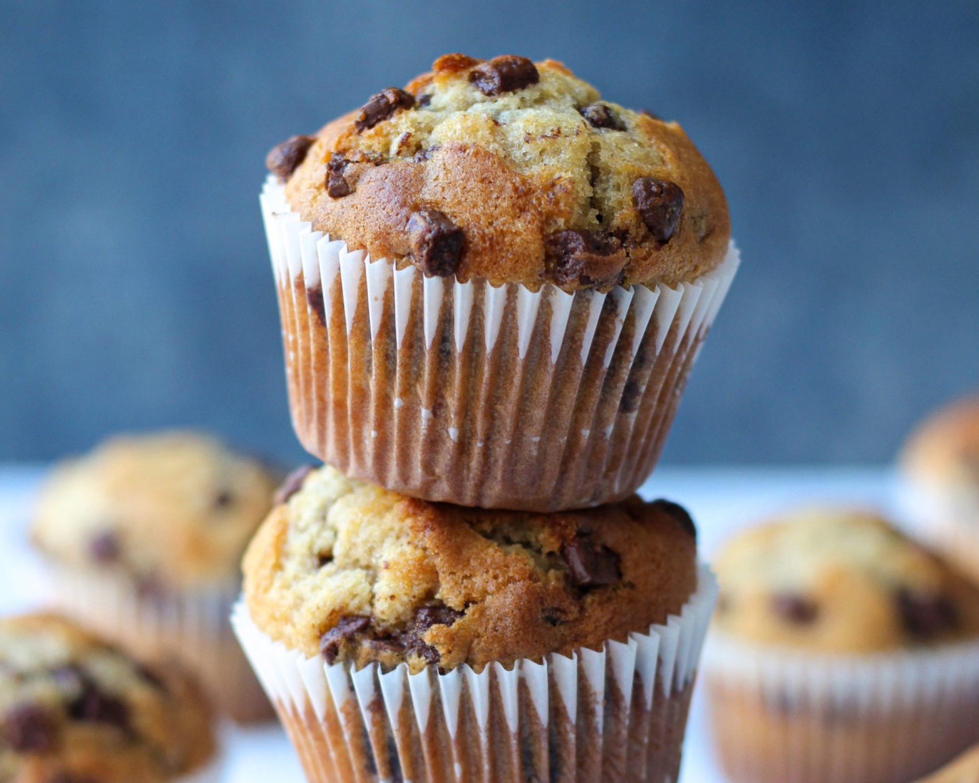 Oz Extend Experience-muffins